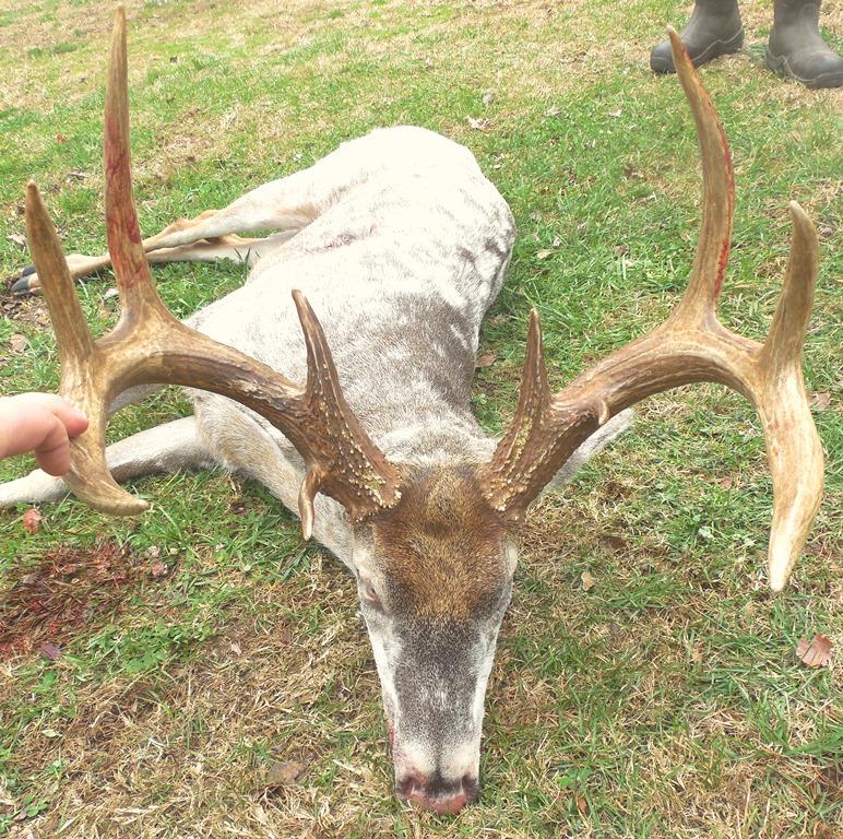dotPhoto Album lblhunts 2013 Land Between The Lakes Quota Hunt Photos